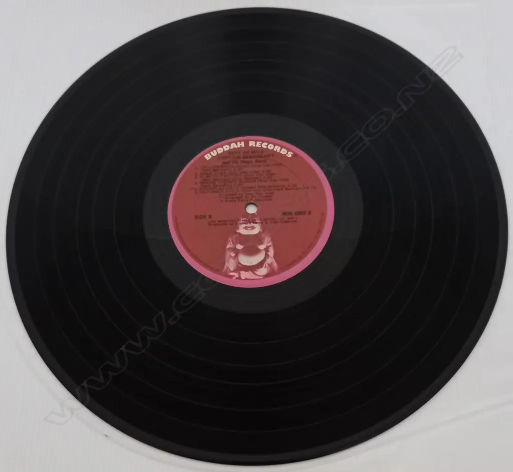 Captain Beefheart And The Magic Band, Safe As Milk Image 1++